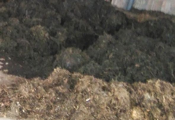 藥渣介紹 藥渣介紹